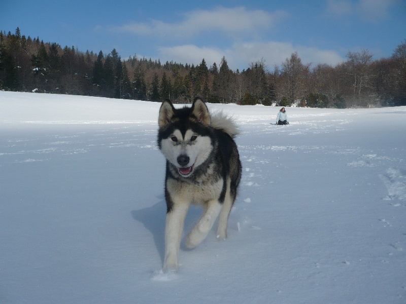 Dakota of Mountain Pack